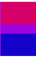 Bisexual Pride Journal