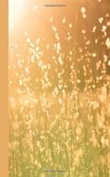Sunshine's Golden Orange Glow Blank Notebook Journal