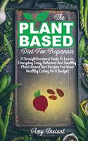 The Plant-Based Diet For Beginners