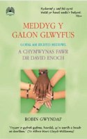 Meddyg y Galon Glwyfus - Gofal am Iechyd Meddwl a Chymwynas Fawr Dr David Enoch