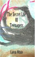 Secret Life of Teenagers: Confessions of a High School Counselor