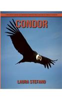 Condor