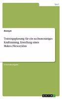 Trainingsplanung für ein sechsmonatiges Krafttraining. Erstellung eines Makro-/Mesozyklus