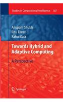 Towards Hybrid and Adaptive Computing