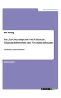 Saccharosetransporter in Solanacae, Solanum tuberosum und Nicotiana tabacum
