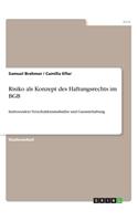 Risiko als Konzept des Haftungsrechts im BGB