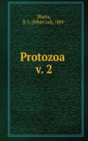 Protozoa