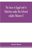 Jews in Egypt and in Palestine under the Fa&#772;t&#803;imid caliphs; a contribution to their political and communal history based chiefly on genizah material hitherto unpublished (Volume I)