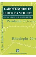 Carotenoids in Photosynthesis