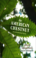 American Chestnut