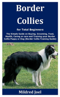 Border Collies for Total Beginners
