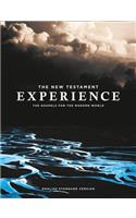 The New Testament Experience