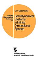 Semidynamical Systems in Infinite Dimensional Spaces