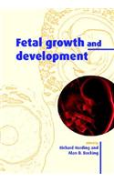 Fetal Growth and Development