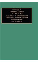 Cell Adhesion