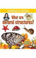 What Are Natural Structures?
