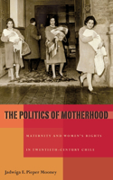 Politics of Motherhood