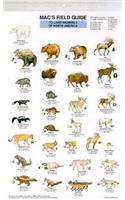Mac's Field Guides: North American Land Mammals