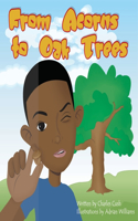 From Acorns to Oak Trees