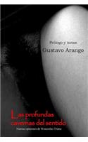 Las profundas cavernas del sentido
