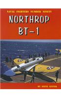 Northrop Bt-1: Navy Dive Bomber
