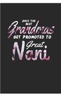 Only the Best Grandmas Get Promoted to Great Nani