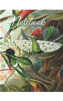 Notebook: Hummingbird Notebook 100 Pages Blank Lined Paper