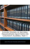 Junior Studies in Algebra. Examination-Questions on Colenso's Algebra, Part 1
