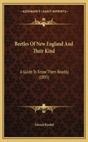 Beetles Of New England And Their Kind