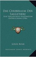 Das Cerebellum Der Saugetiere