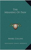 The Meaning of Pain