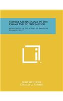 Salvage Archaeology In The Chama Valley, New Mexico