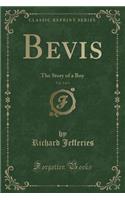 Bevis, Vol. 2 of 3: The Story of a Boy (Classic Reprint)(English)