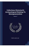 Collections Historical & Archaeological Relating To Montgomeryshire; Volume 1