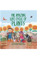 The Amazing Life Cycle of Plants
