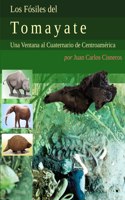 Fósiles del Tomayate