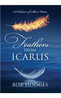 Feathers from Icarus: A Collection of Short Fiction