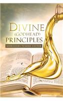 Divine (Godhead) Principles: Christ Alive in You(English)
