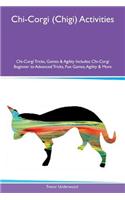 Chi-Corgi (Chigi) Activities Chi-Corgi Tricks, Games & Agility Includes