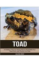 Toad