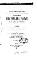 Développement de la Vessie, de la Prostate et du canal de l'uréthre