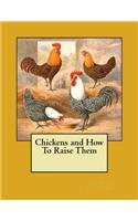 Chickens and How To Raise Them