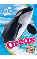 Orcas