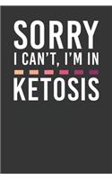 Sorry I Can't I'm In Ketosis: Dot Grid Journal or Notebook (6x9 Inches) with 120 Pages