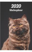 2020 Wochenplaner: Britisch Langhaar 107 Seiten, 15cm x 23cm ca. A5 Taschenkalender Terminplaner Tagebuch Terminkalender Organizer für Katzenliebhaber
