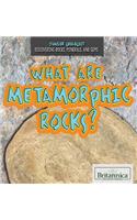 What Are Metamorphic Rocks?