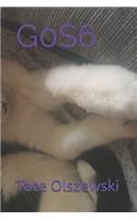 G0s6