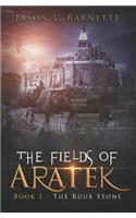 The Fields of Aratek: Book 1 - The Ruux Stone