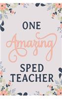 One Amazing Sped Teacher: Sped Teacher Notebook Sped Teacher Journal Sped Teacher Workbook Sped Teacher Memories Journal