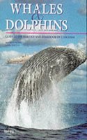 Whales and Dolphins: A Biological Guide to the Life of the Cetaceans